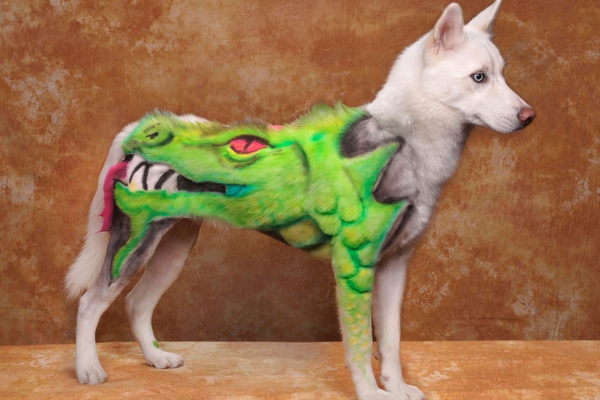 Покрашенные собаки