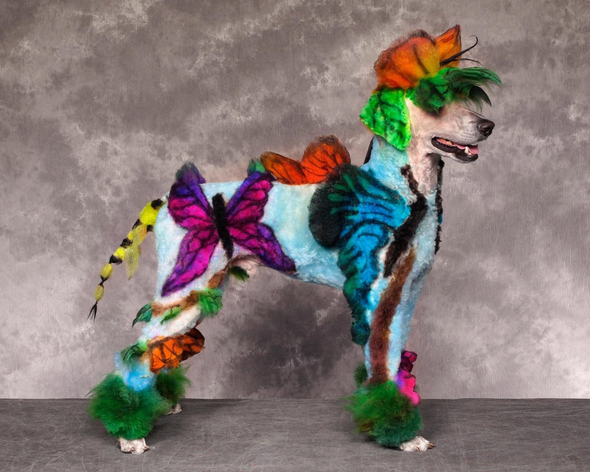 Необычные стрижки собак