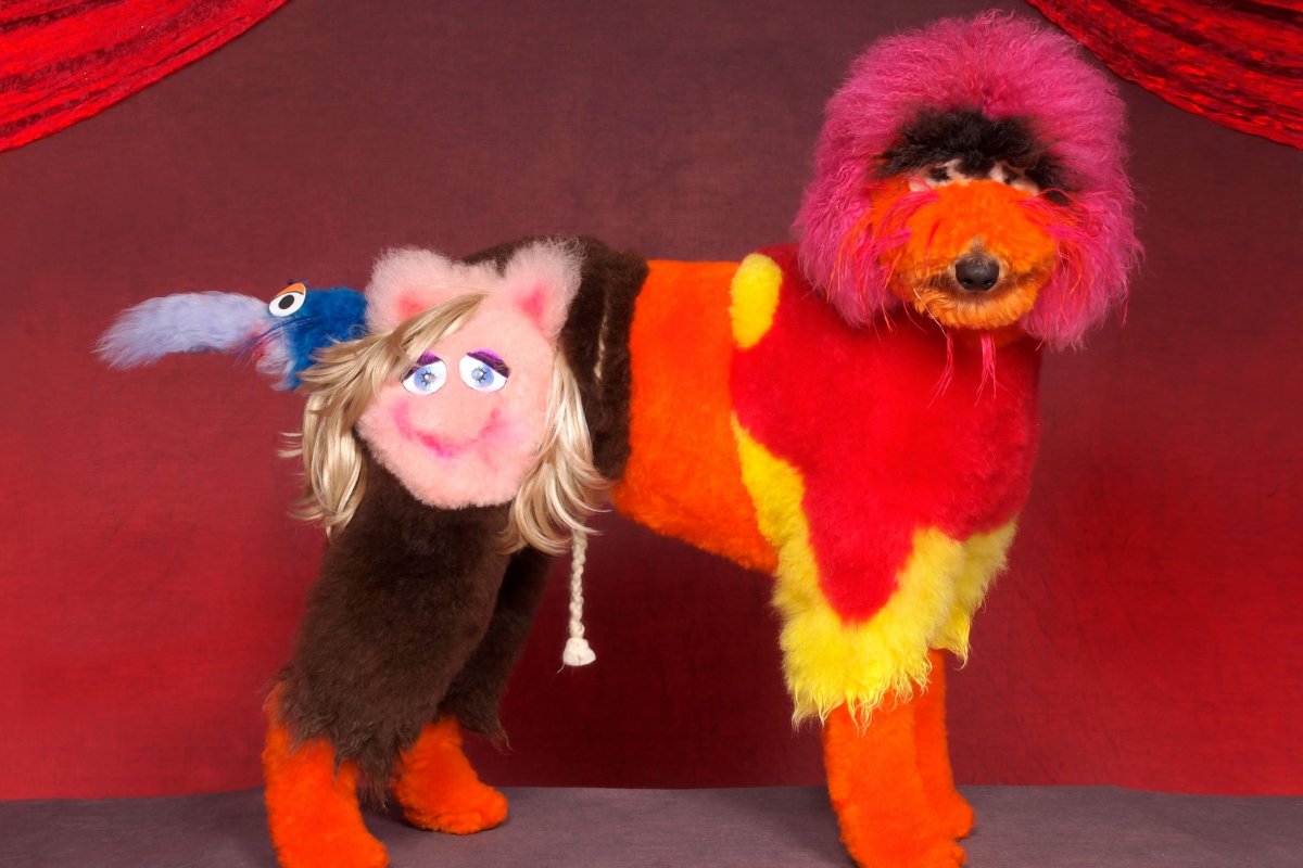 Собака креатив