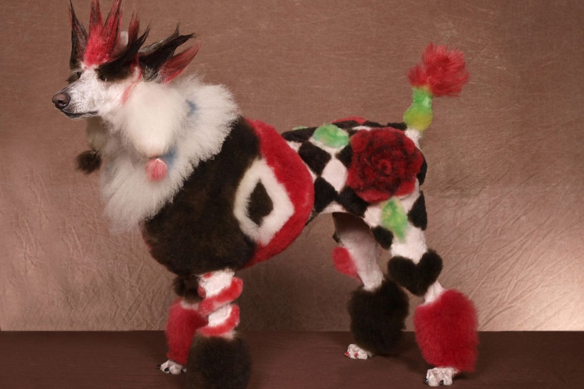 Конкурс стрижек собак