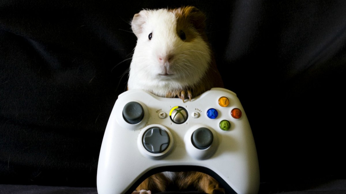 Мышь в наушниках