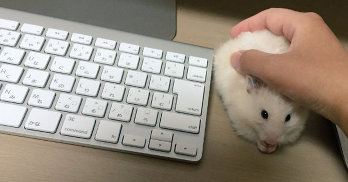 Компьютерная мышь прикол