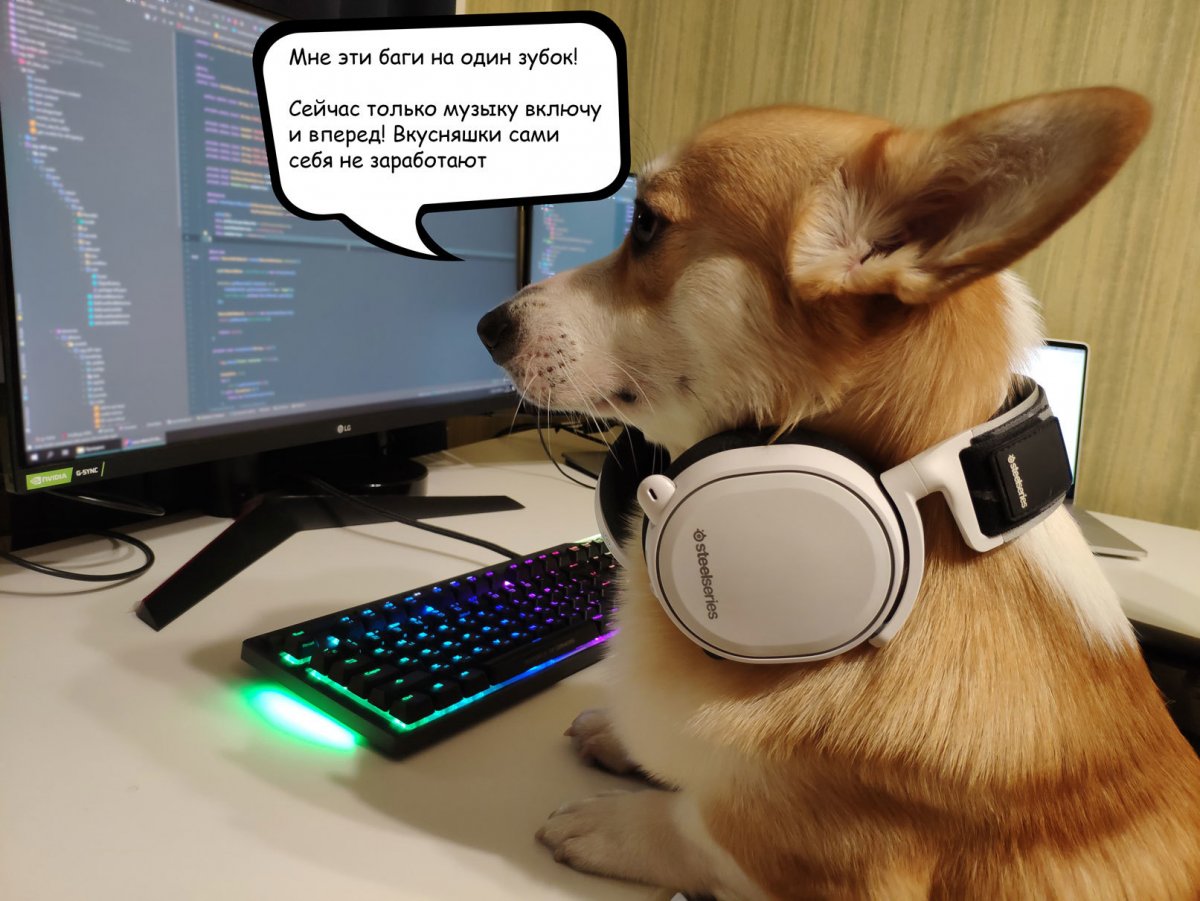 Хомяк за ноутбуком