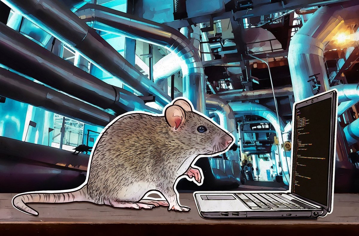 Кот играет в комп