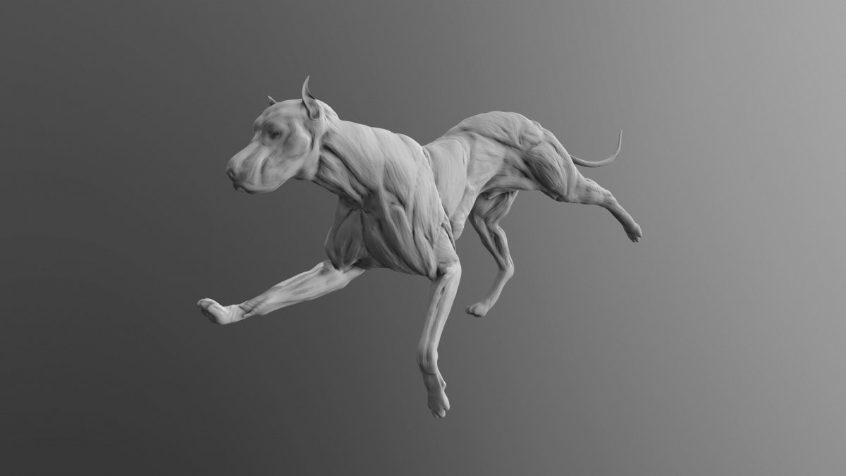 Американский бандог терьер