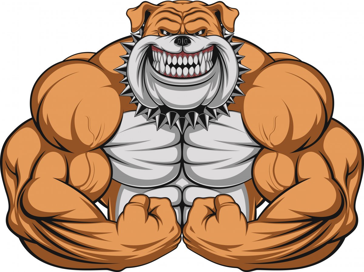 Бойцовая собака американский питбультерьер