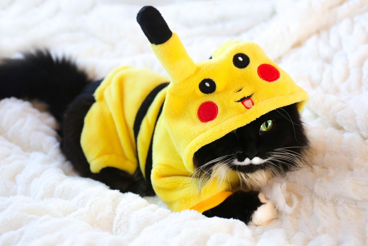 Покемон Пичу эволюционирует