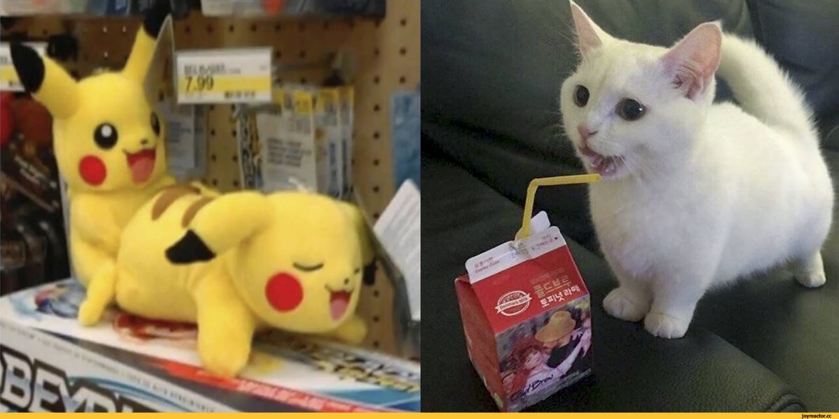 Кот в костюме Пикачу