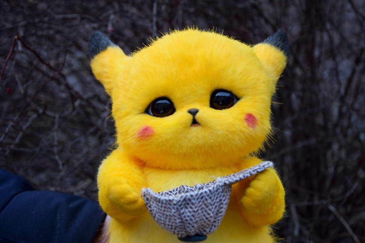 Кошка Пикачу