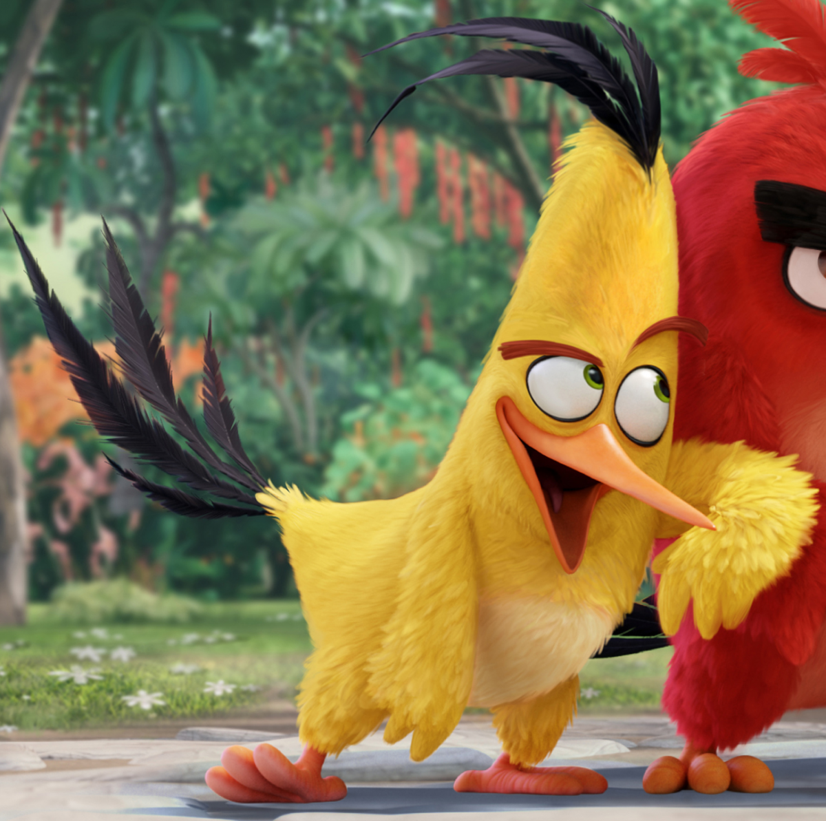 Чак Энгри бердз