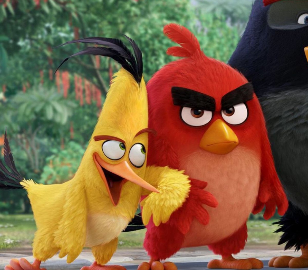 Ангри Бердс мультик 2016