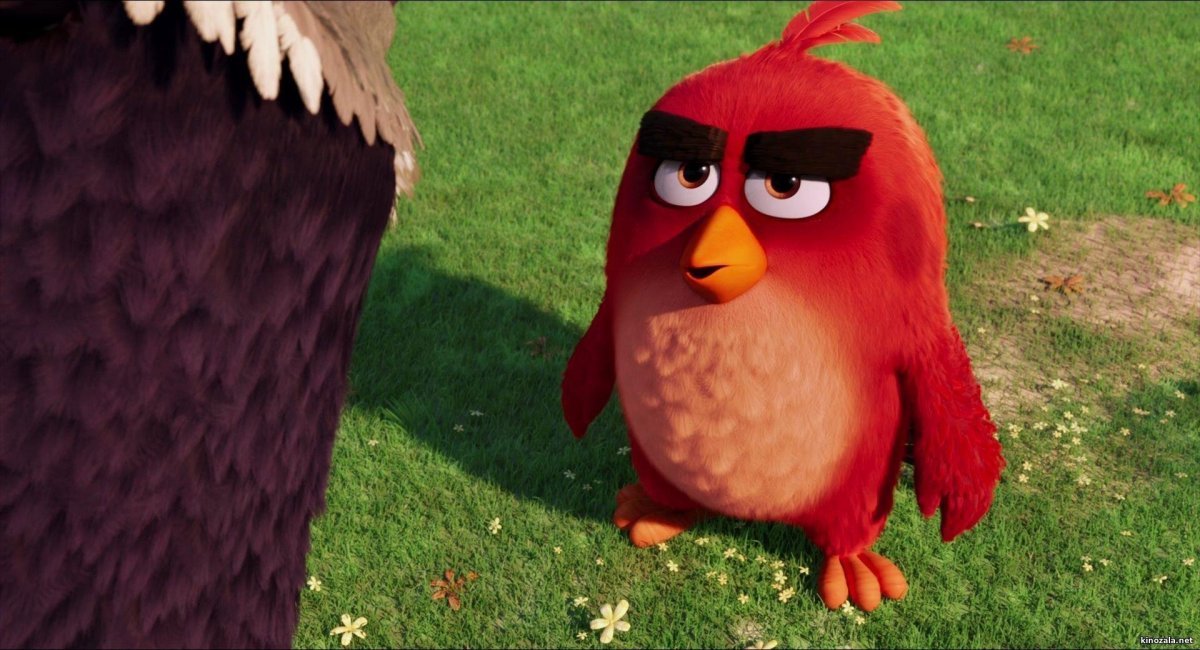 Энгри бердз мультфильм ред
