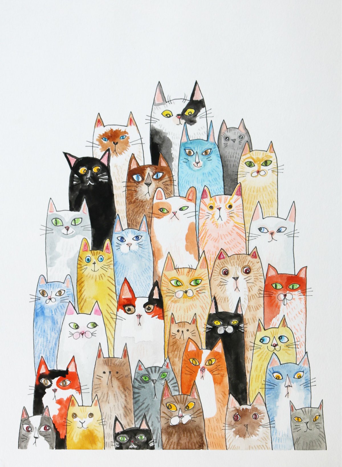 Кошка с синдромом Дауна