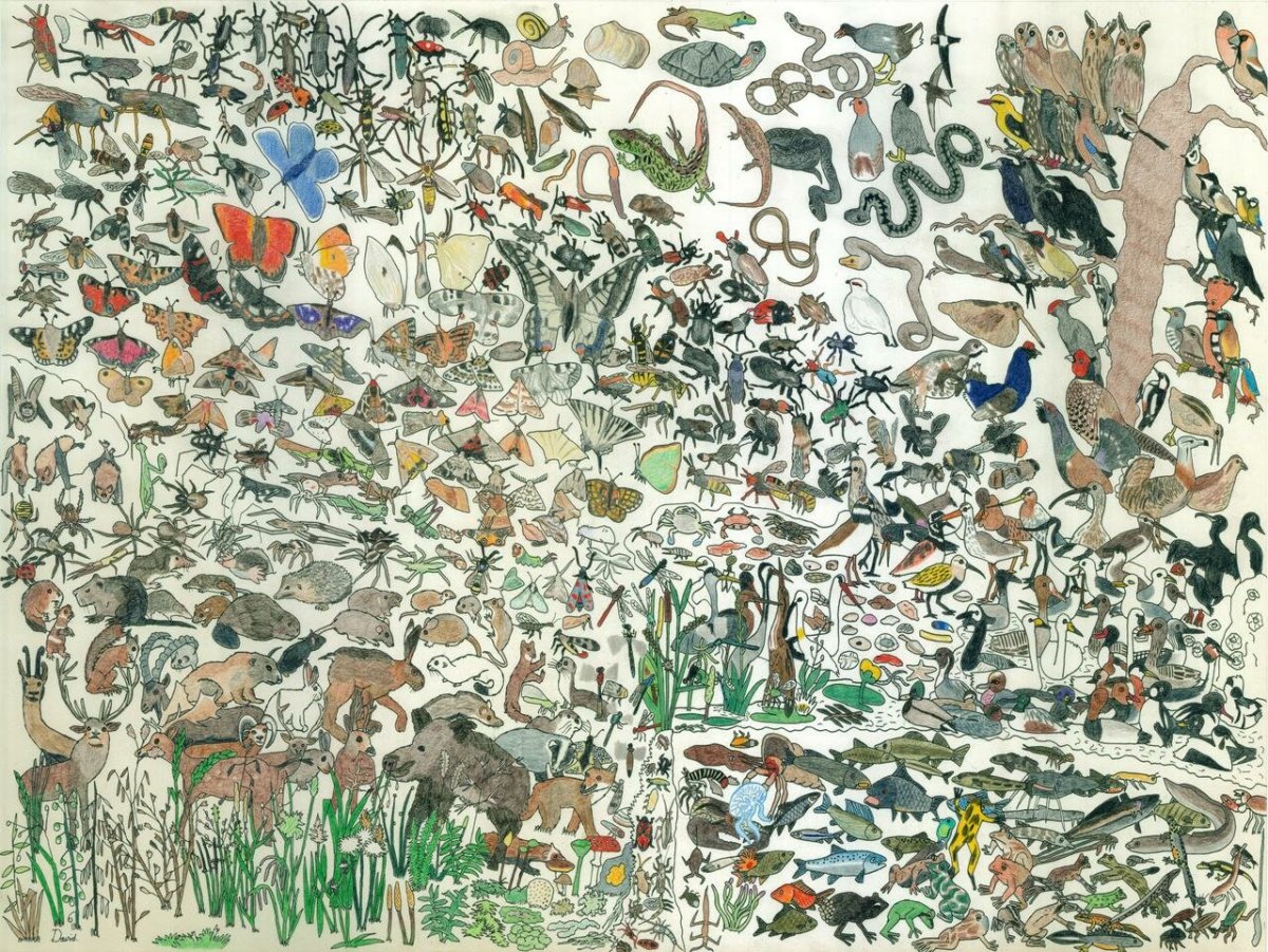 Аутизм картины