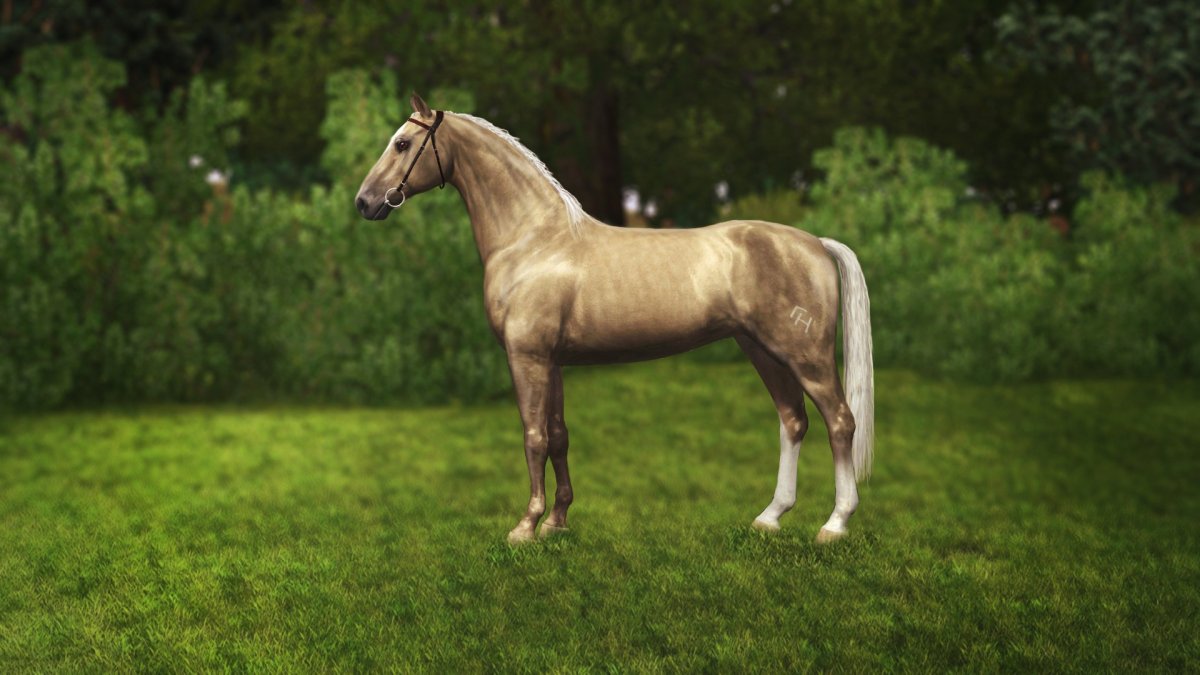 Соловый Орловский рысак