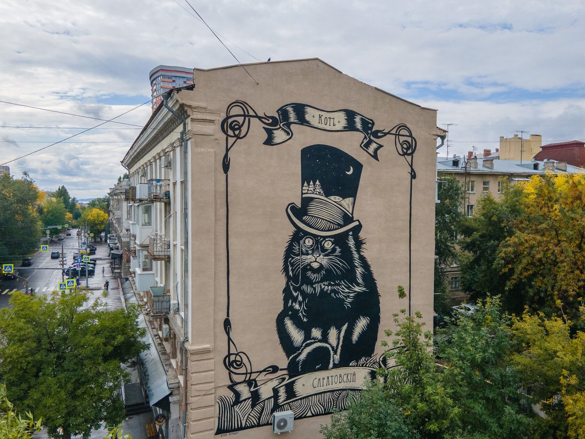 Найдите кота среди сов