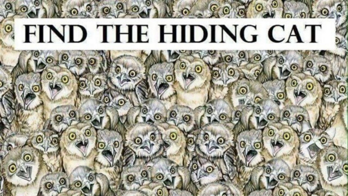 Совы для паттернов