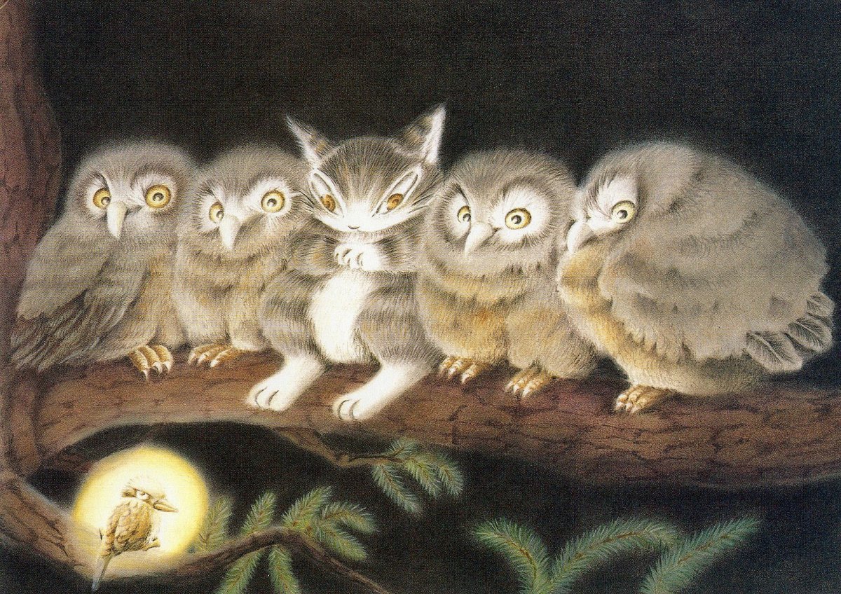 Кот среди сов