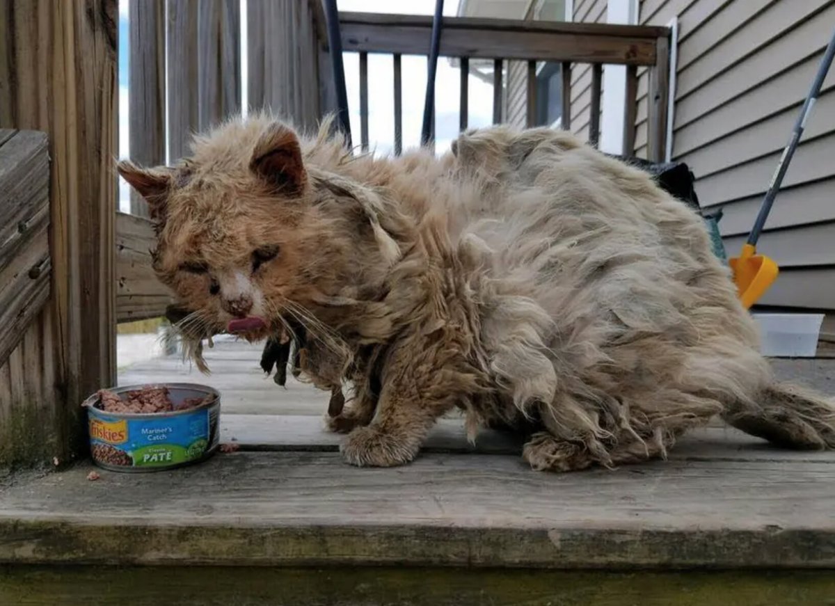 Оригинальные рисунки