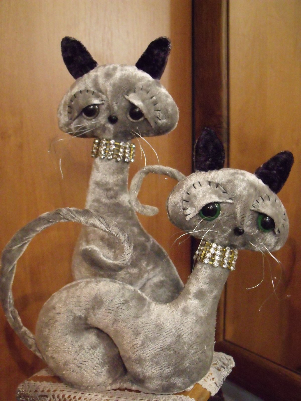 Брошенные кошки