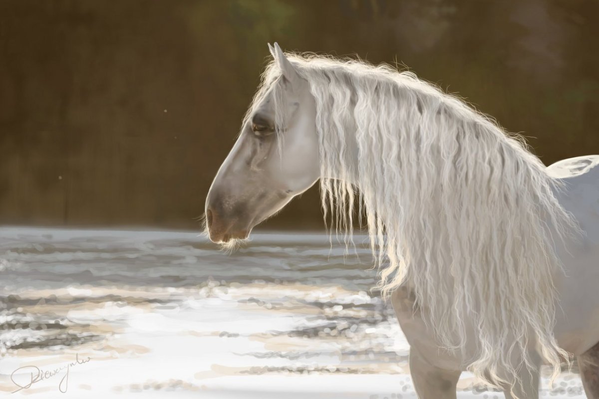 Мелекуш ахалтекинец