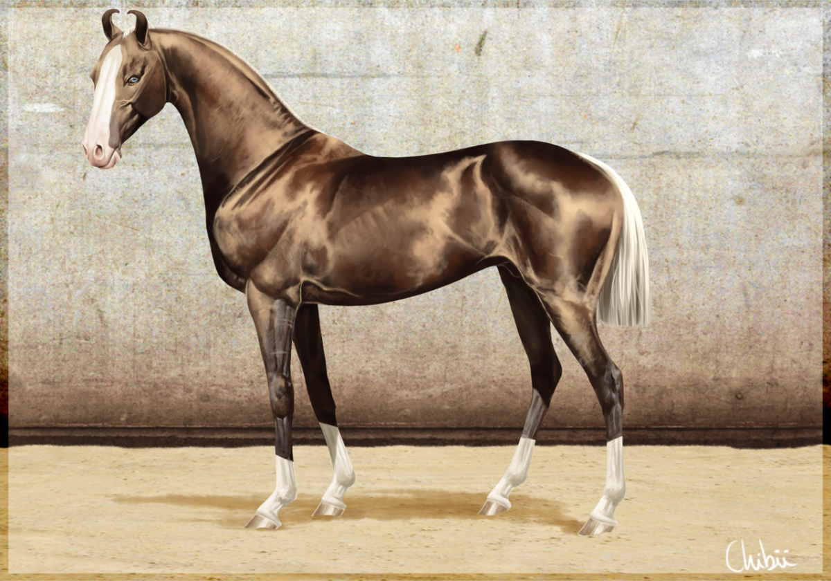 Изабелловая Ахалтекинская лошадь