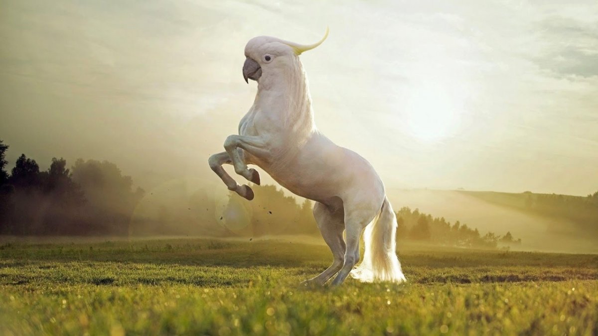 Хайбрид Энималс