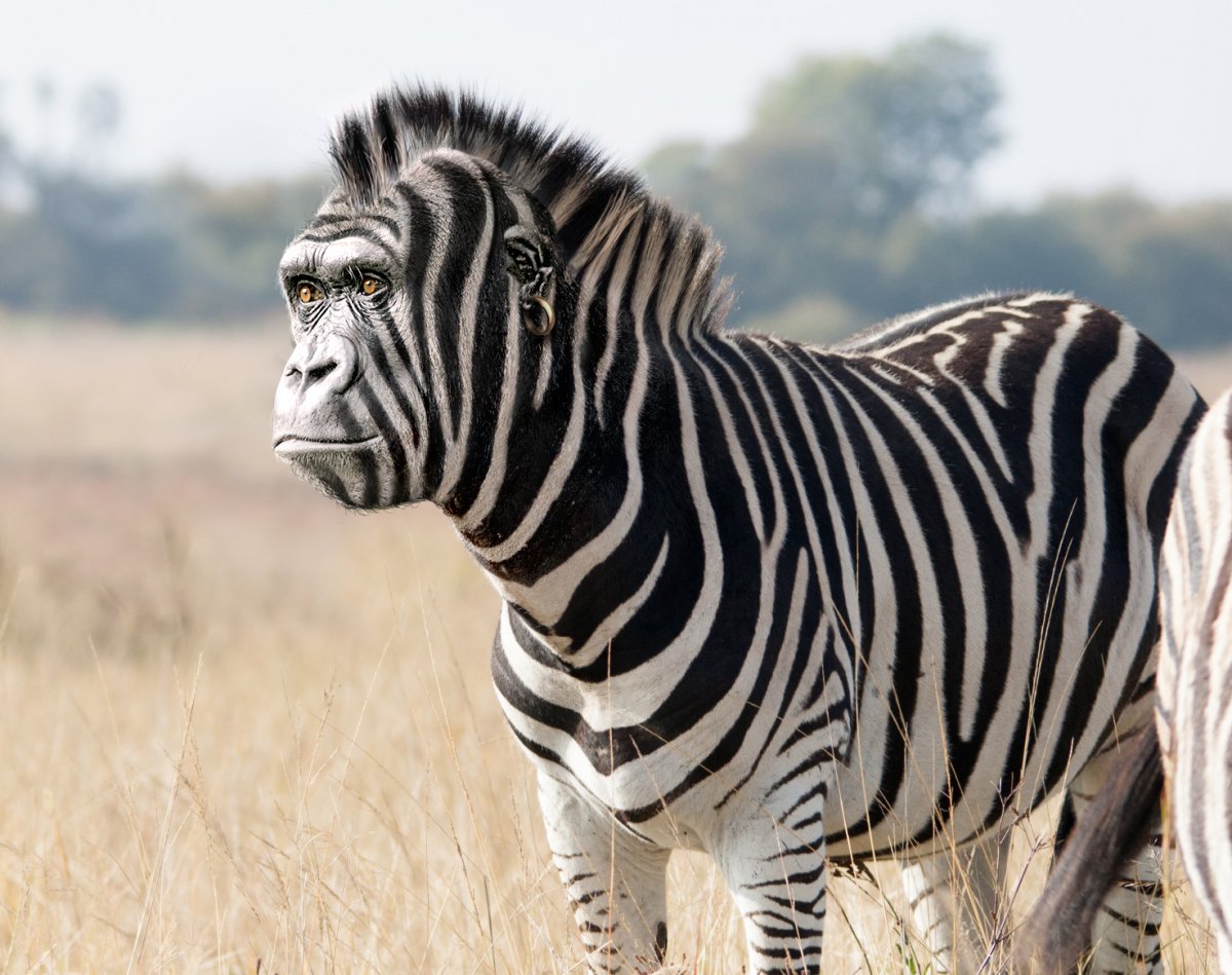 Смешение животных