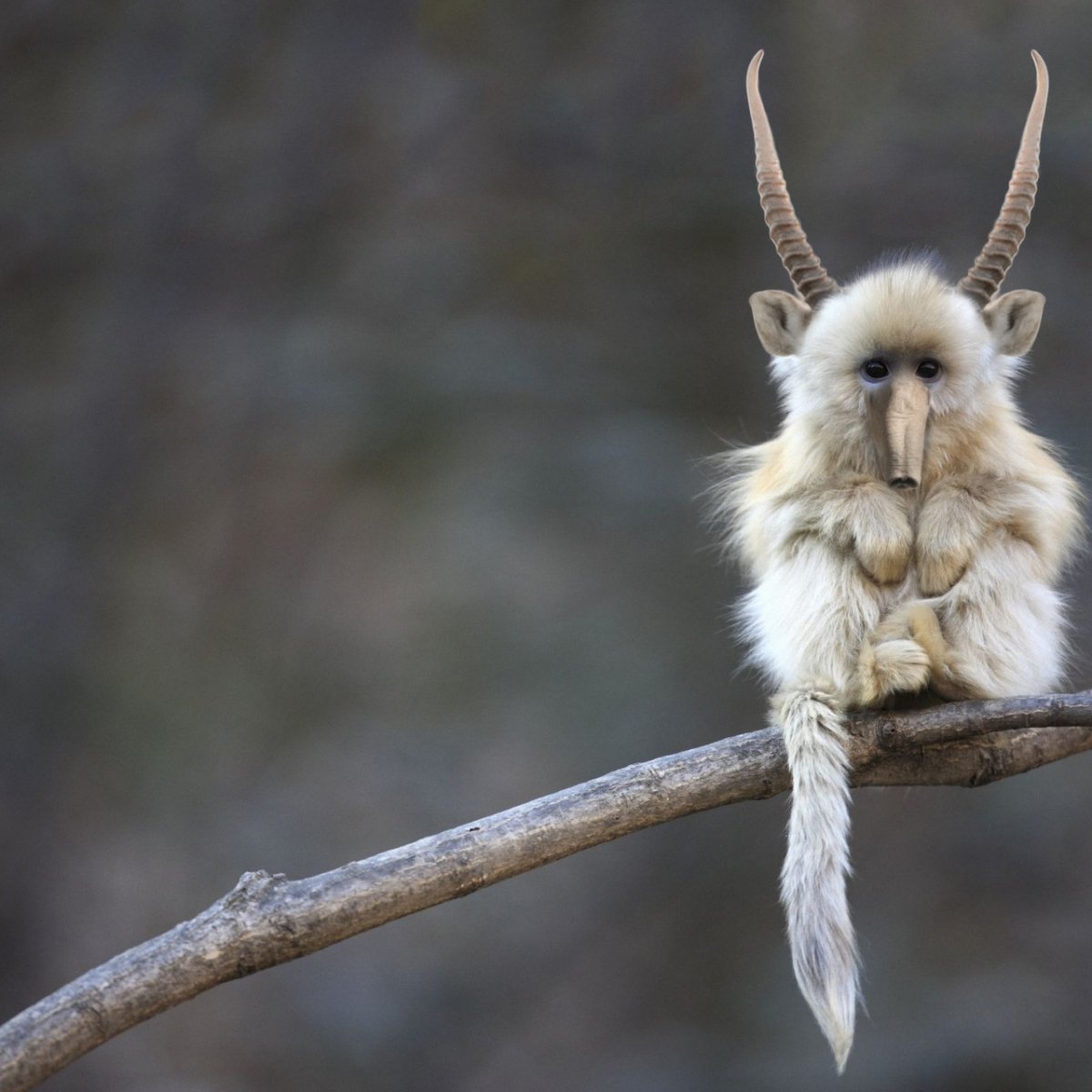 Самые необычные гибриды животных