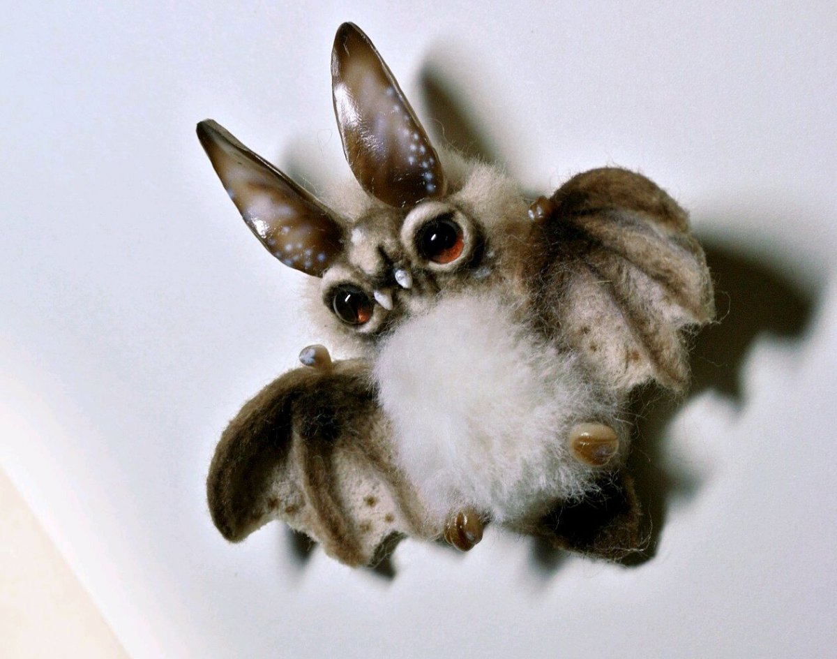 Валяная летучая мышь