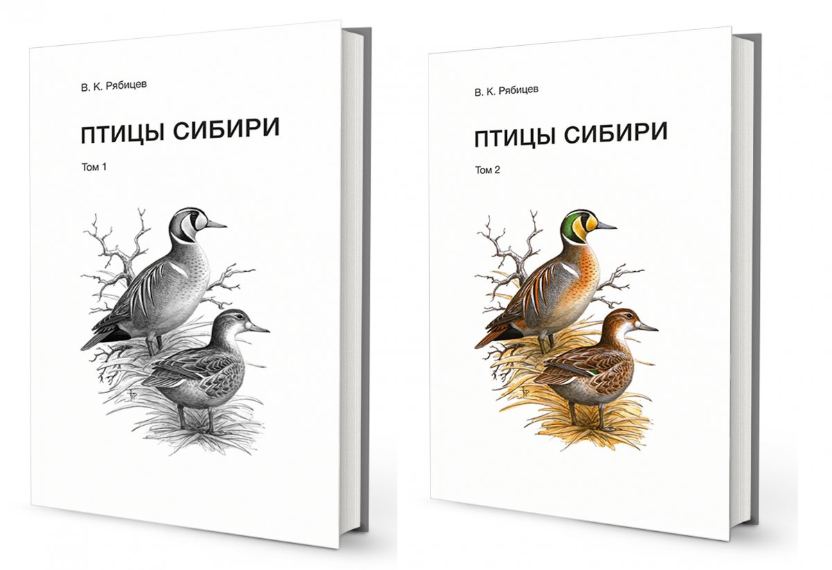 Книга Рябицев птицы Урала