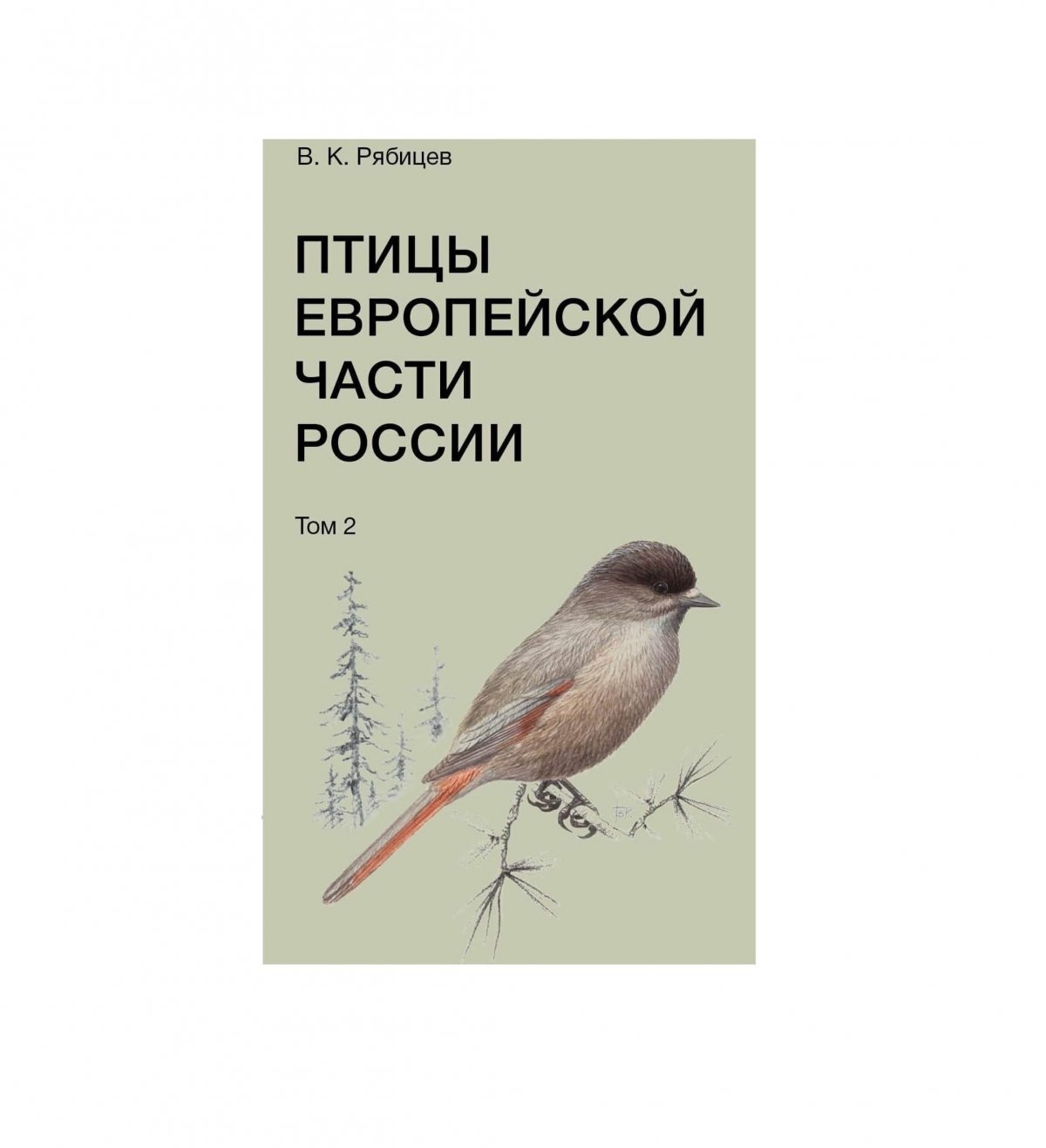 Книга птицы Сибири Рябицев