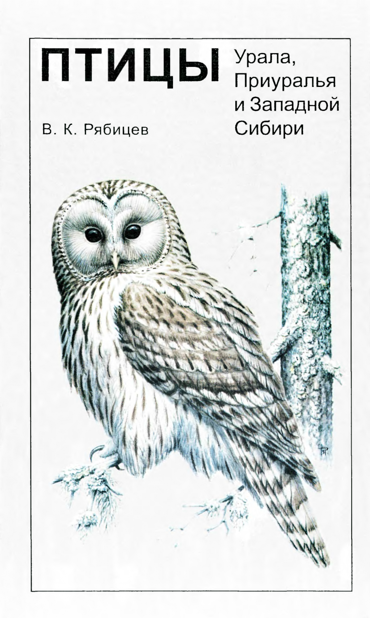 Гусь и гагара