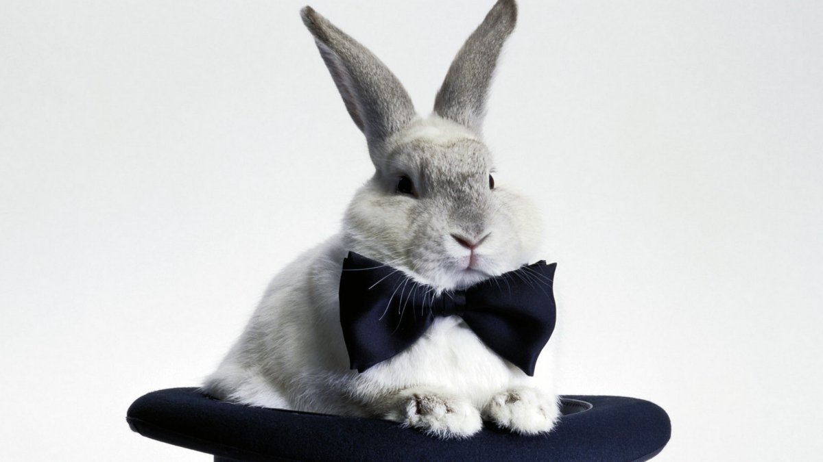 Багз Банни Эстетика