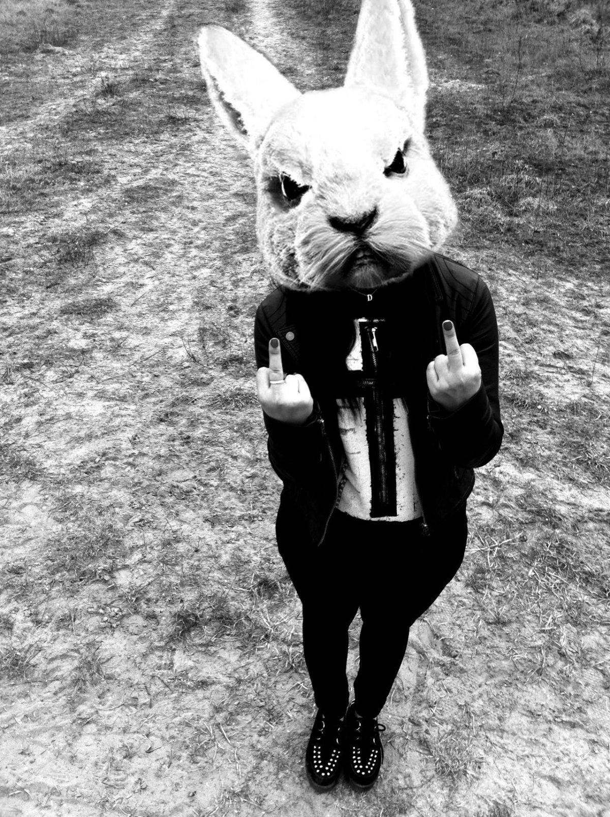 Заяц в смокинге арт