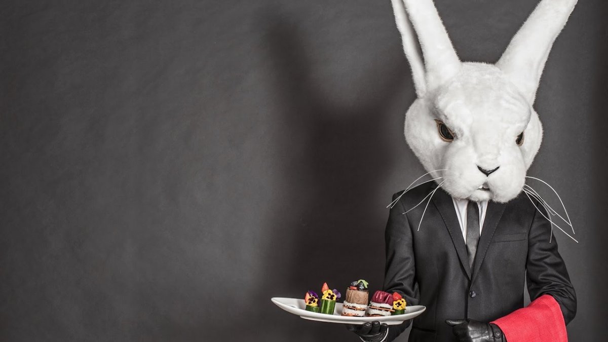 Кролик в смокинге костюм