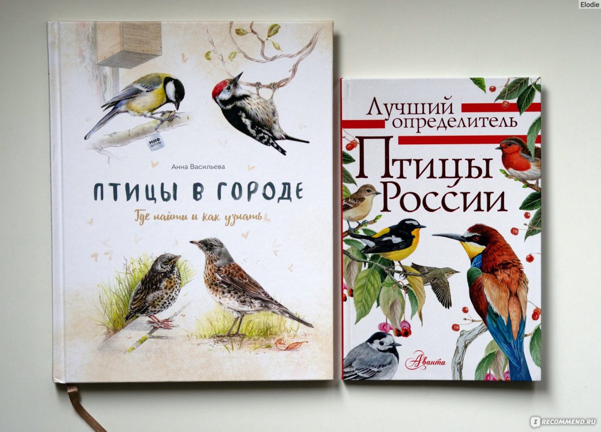 Атлас-определитель птиц Калякин