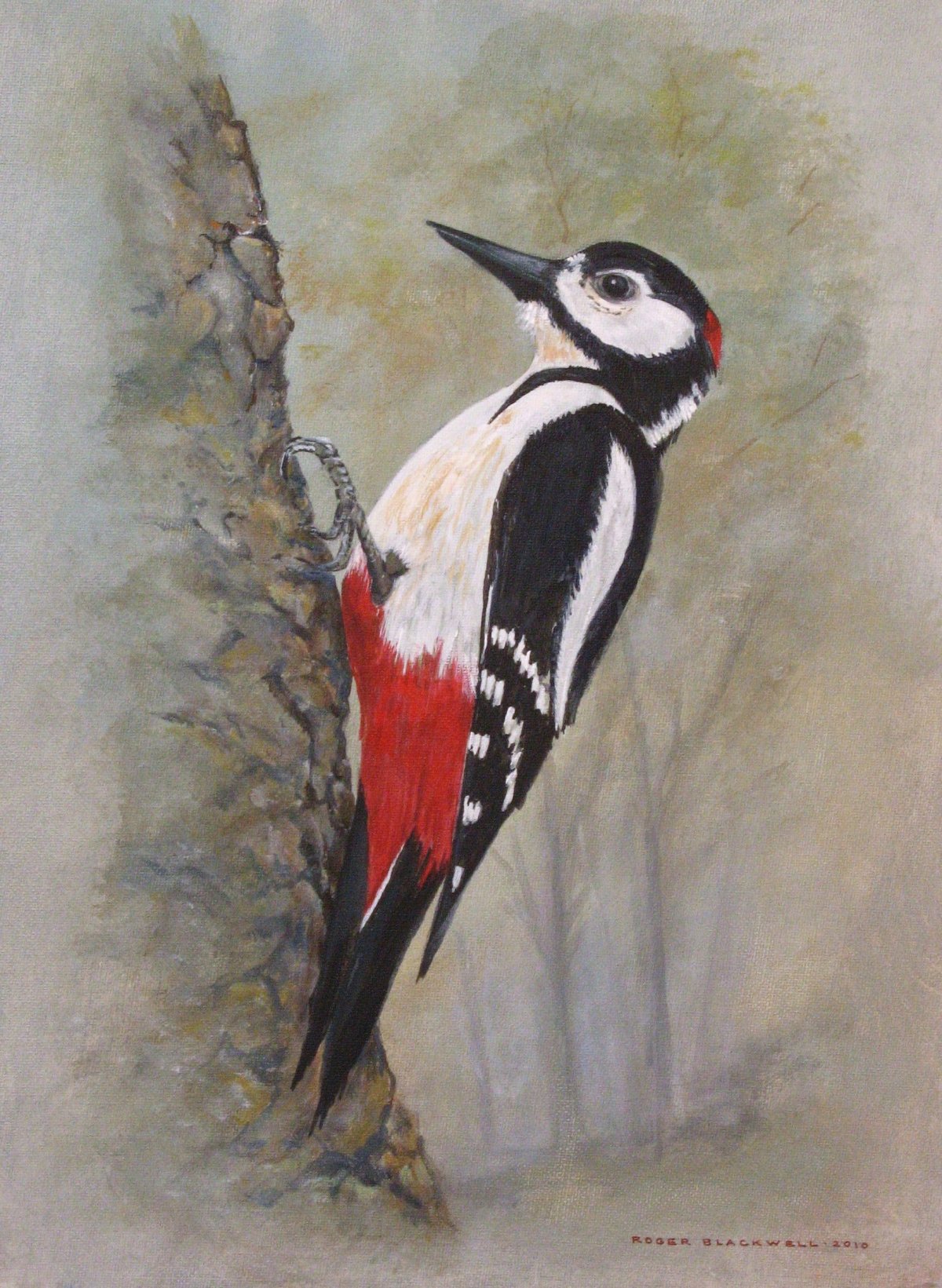 Дятел гуашью