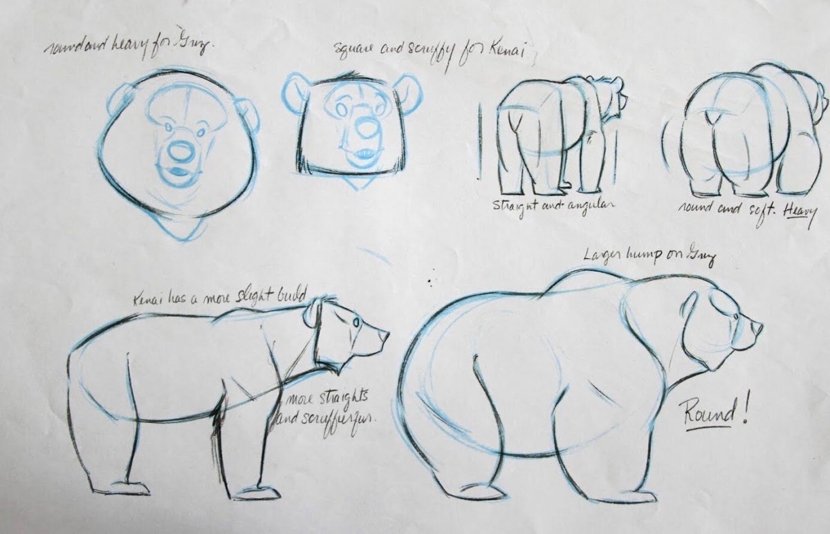 Медведь построение