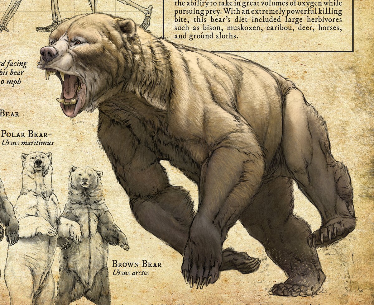 Американский пещерный Лев инфографика