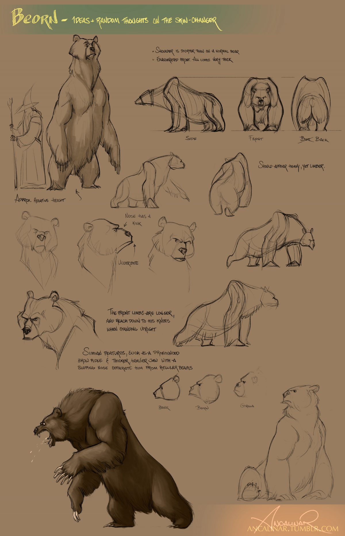 Референсы плюшевый мишка