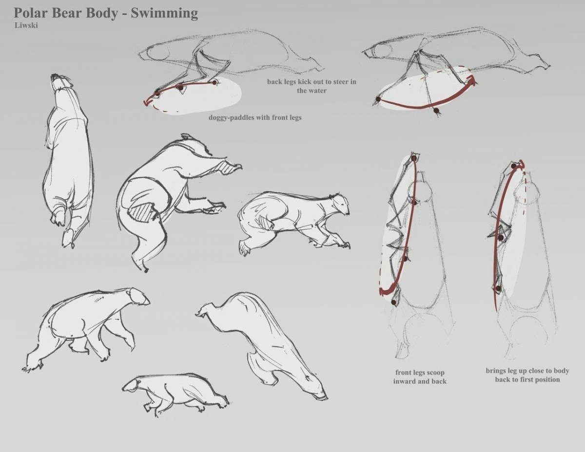 Медведь братец Медвежонок Наброски