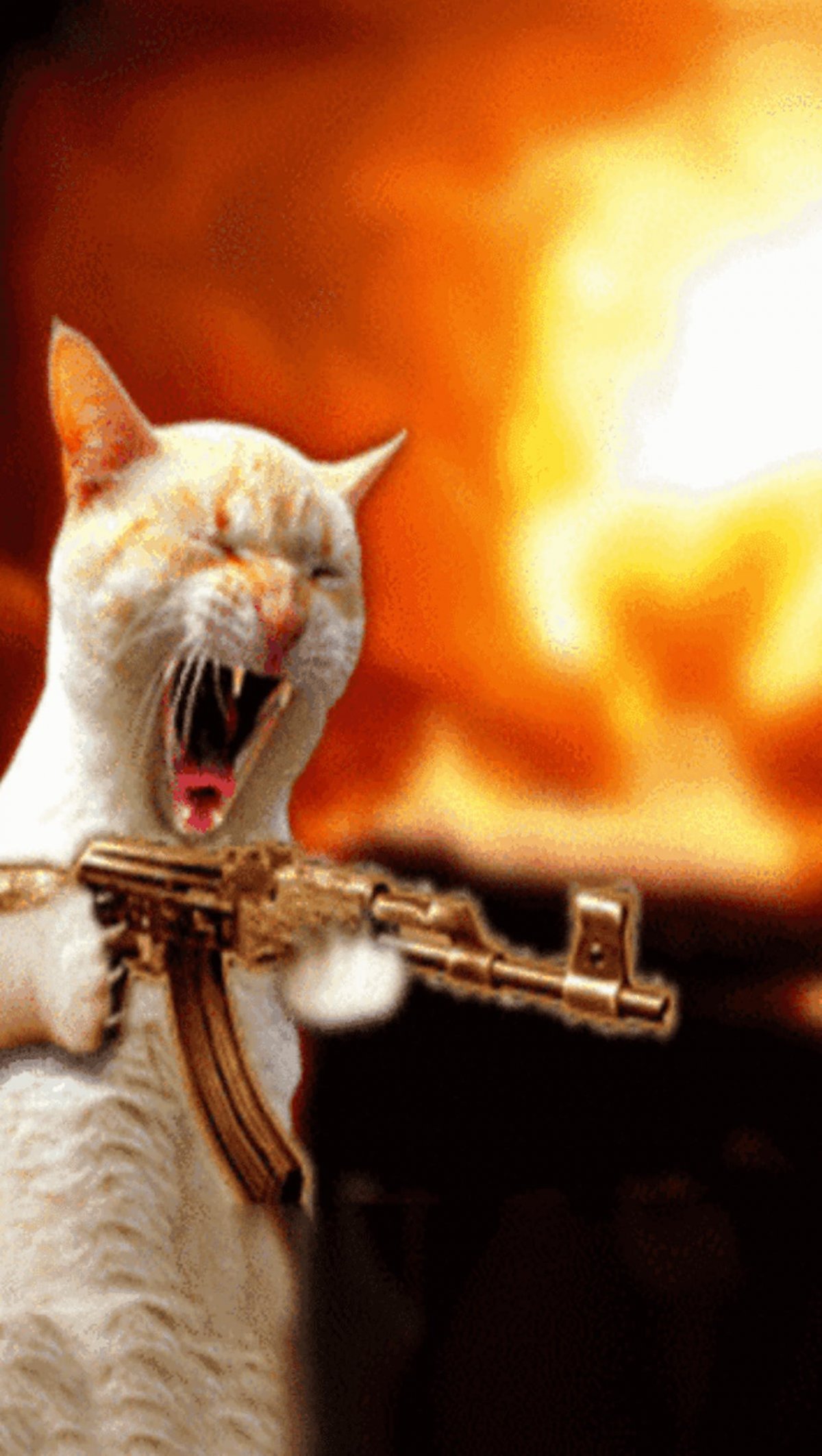 Коты с битой