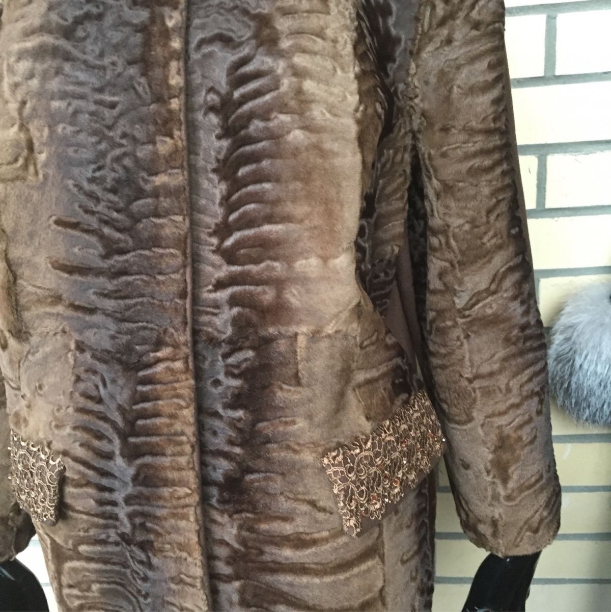 Astrakhan каракуль