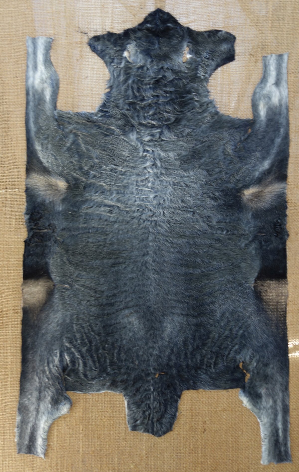 Свакара животное