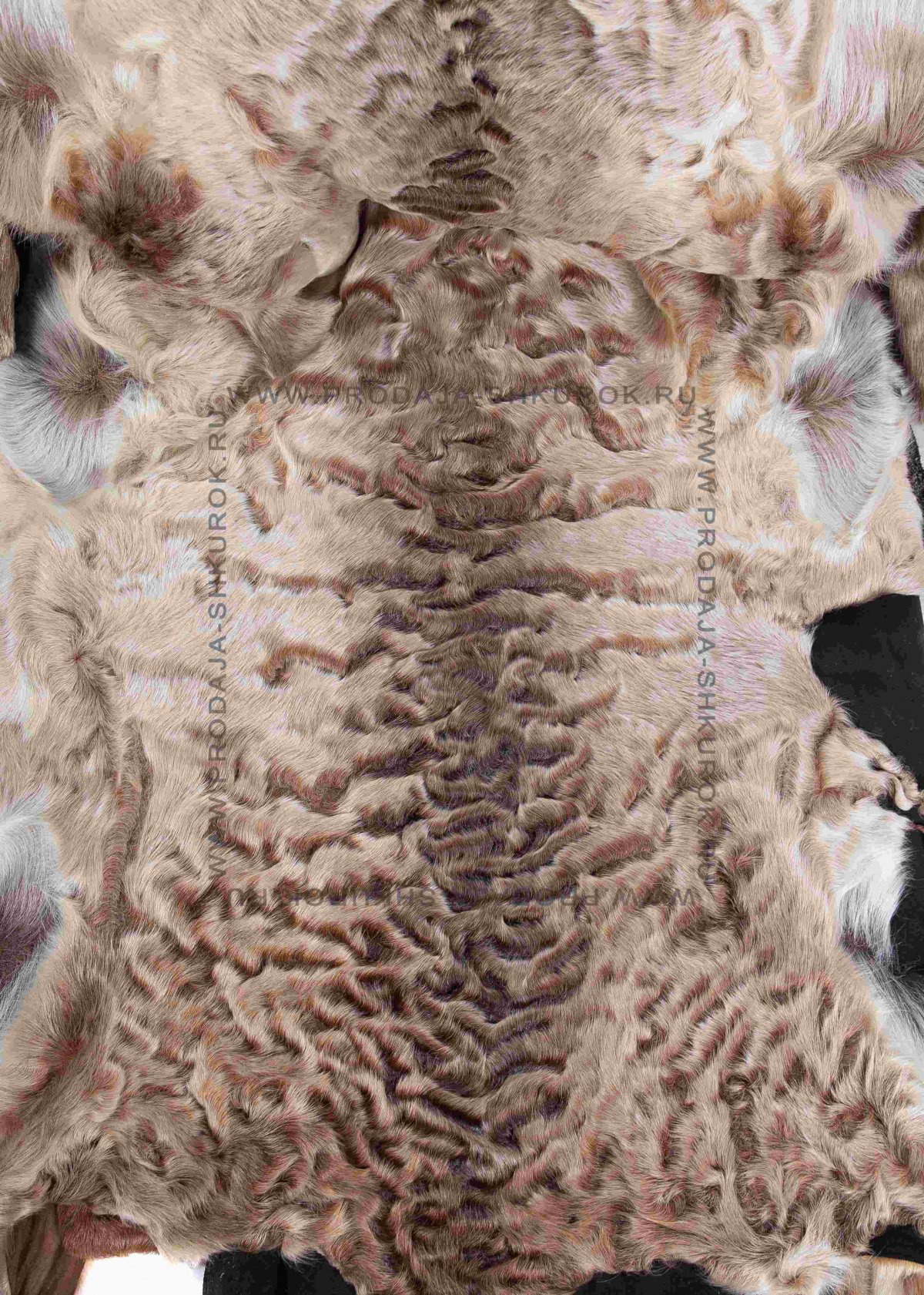 Каракуль Гулигаз что это