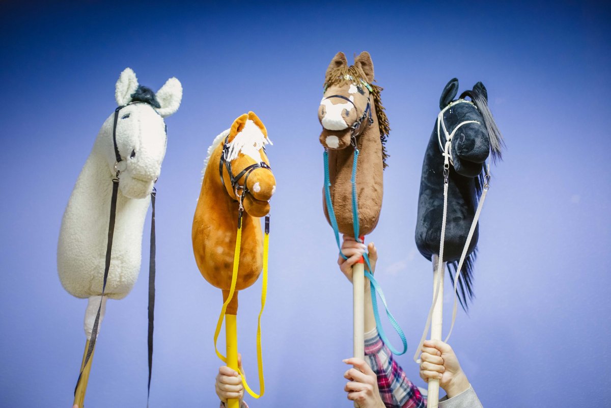 Хобби Хорс соревнования