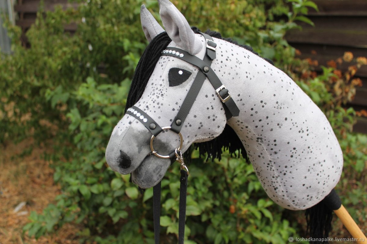 Хоббихорс какнкур