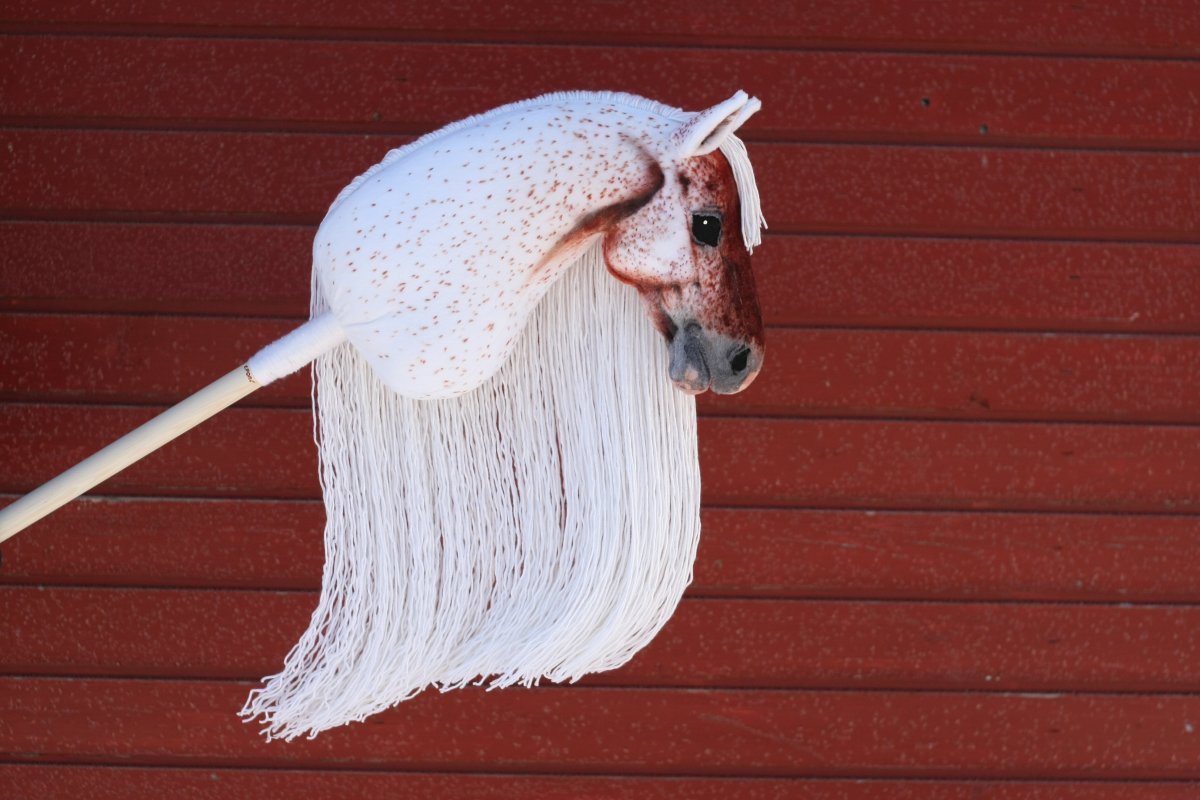 Лошади для хоббихорсинга