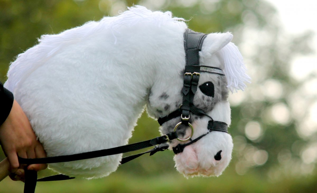 Конь на палочке боевой